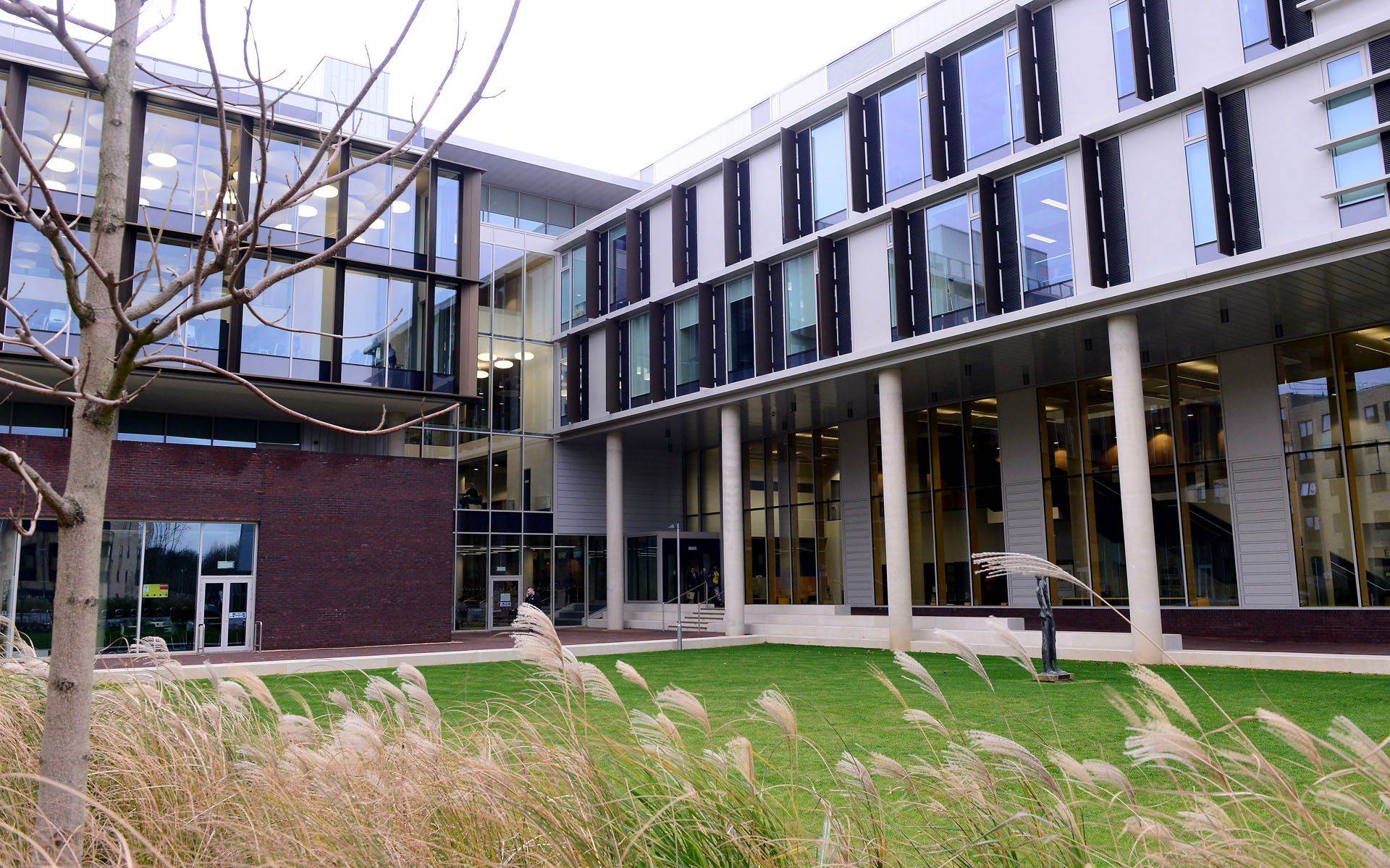 View of the lawn outside the Learning Hub